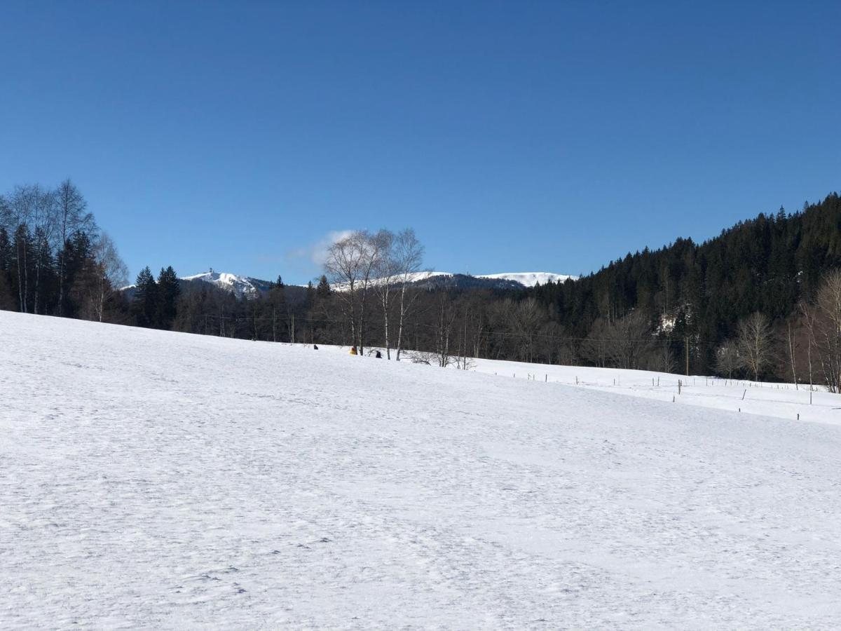 Gaestehaus Lickert Ferienwohnung Sued Feldberg Hinterzarten Exteriér fotografie