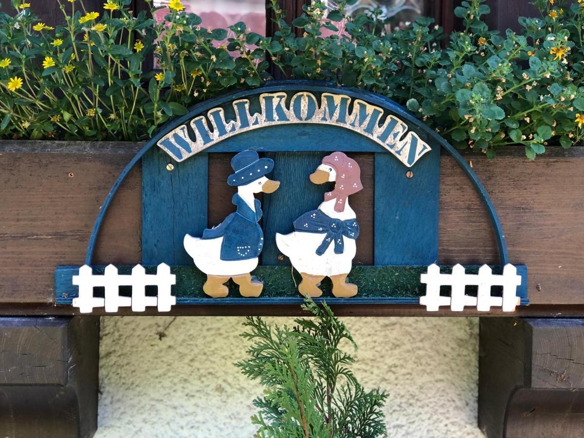 Gaestehaus Lickert Ferienwohnung Sued Feldberg Hinterzarten Exteriér fotografie